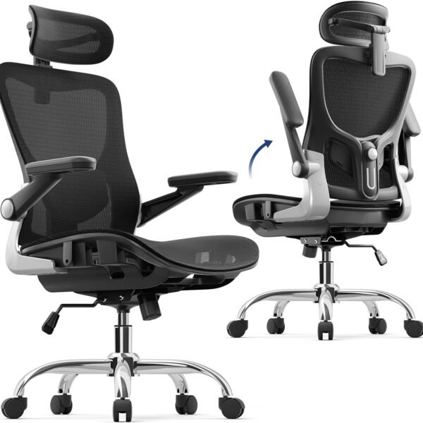Ergonomic Office Chair, Mesh Seat Cushion with 3D Armrests and 3D Headrest, Adjustable Lumbar Support, Class 4 Gas Clylinder, Black
